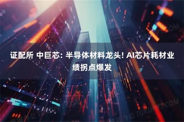 证配所 中巨芯: 半导体材料龙头! AI芯片耗材业绩拐点爆发